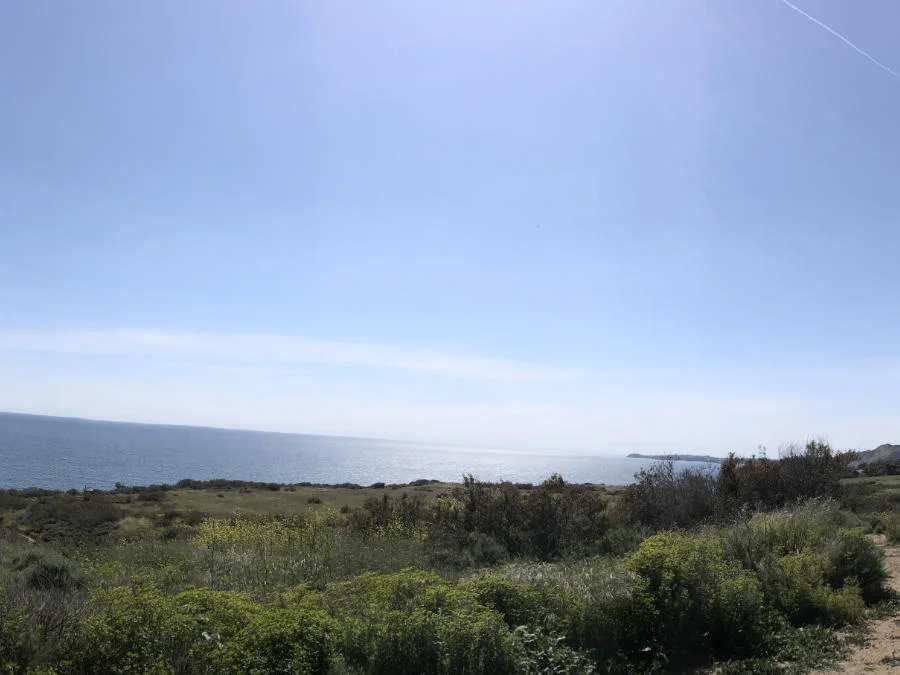 Malibu Ocean View